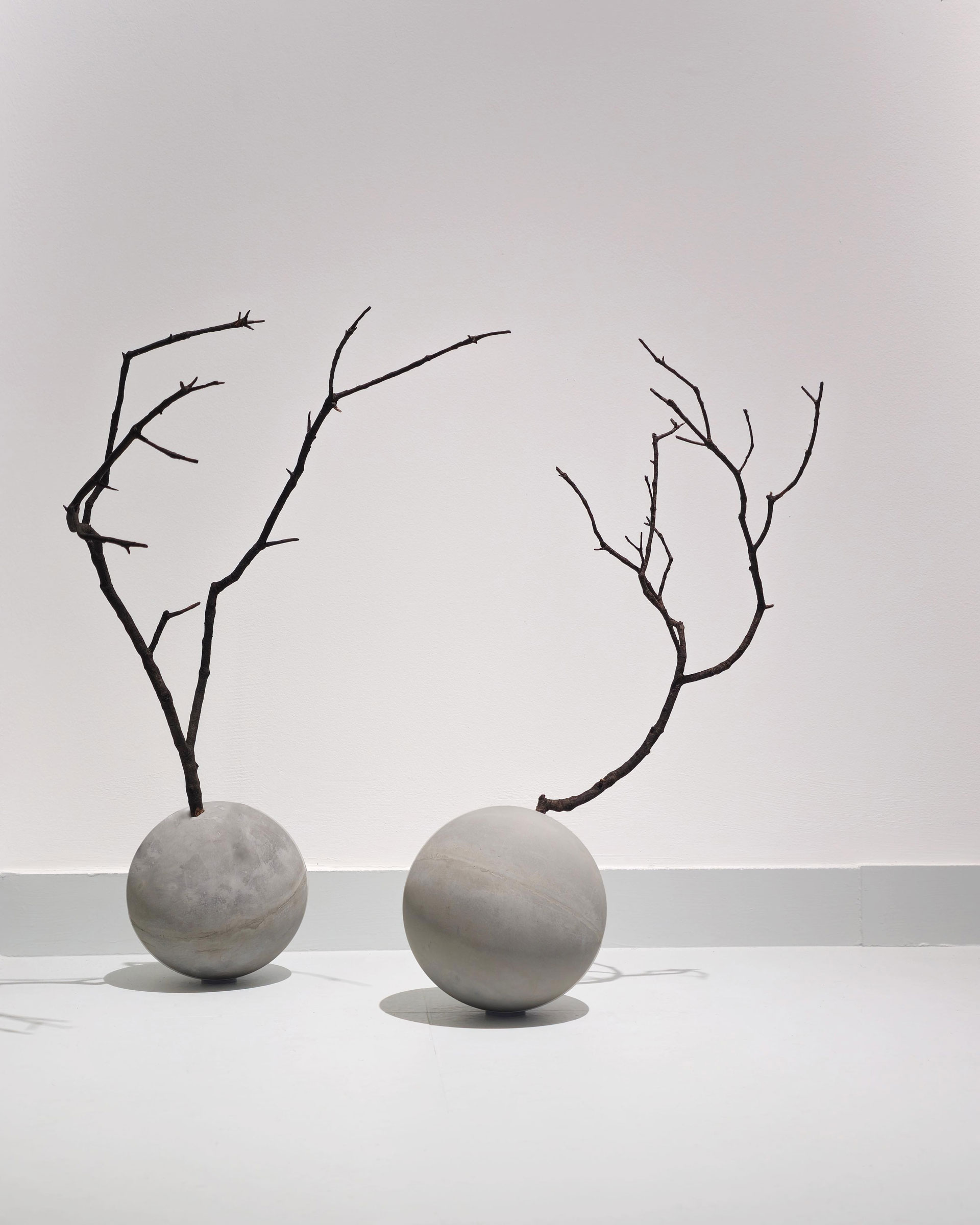 Paulo Canilhas | A Architecture of a Flower